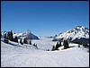 IMG_1629.JPG