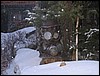 IMG_1796.JPG