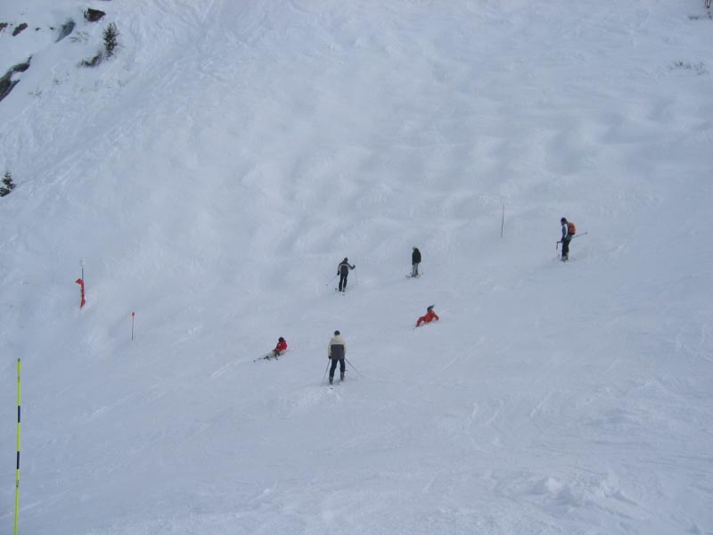 alpe-2006-075.jpg