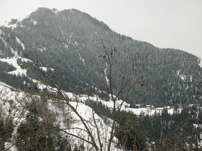 alpe-2006-160.jpg