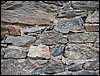 alpe-2006-063.jpg