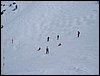 alpe-2006-075.jpg