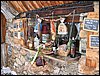 alpe-2006-121.jpg