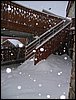 alpe-2006-135.jpg