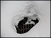 alpe-2006-152.jpg