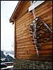 alpe-2006-161.jpg
