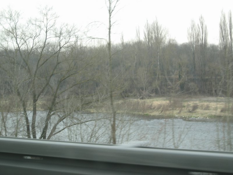 IMG_5128.JPG