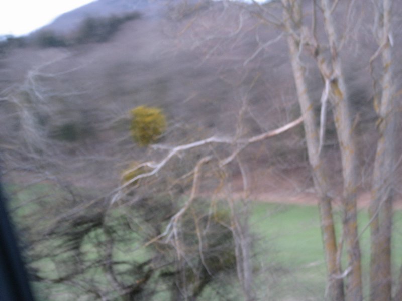 IMG_5137.JPG