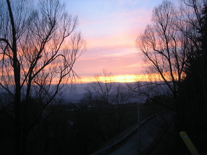 IMG_5145.JPG