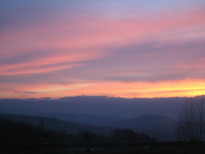 IMG_5152.JPG