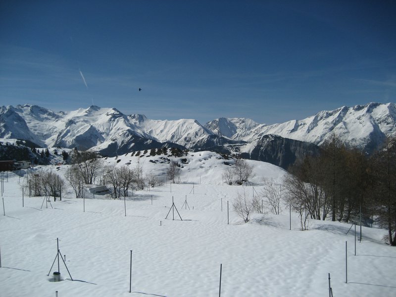 IMG_5271.JPG