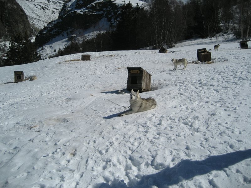 IMG_5298.JPG