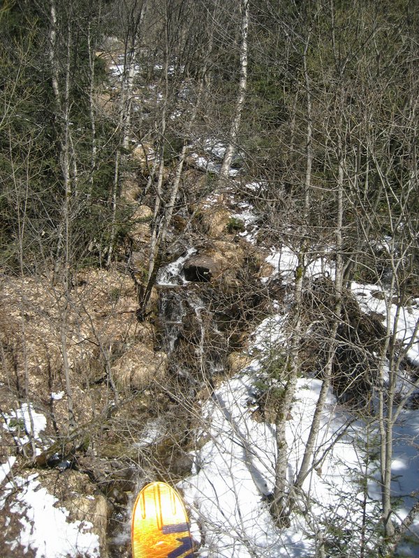 IMG_5308.JPG