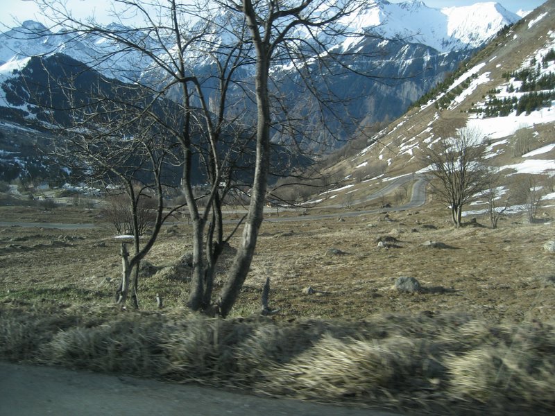 IMG_5375.JPG