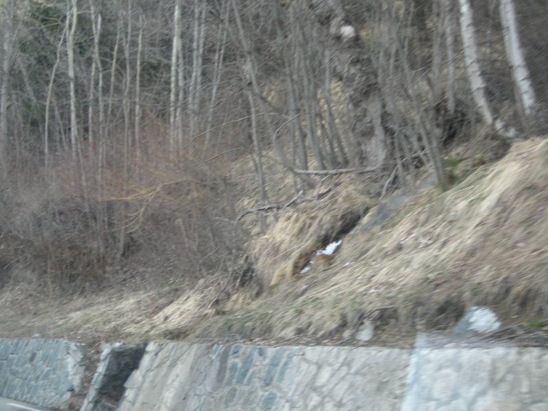 IMG_5395.JPG