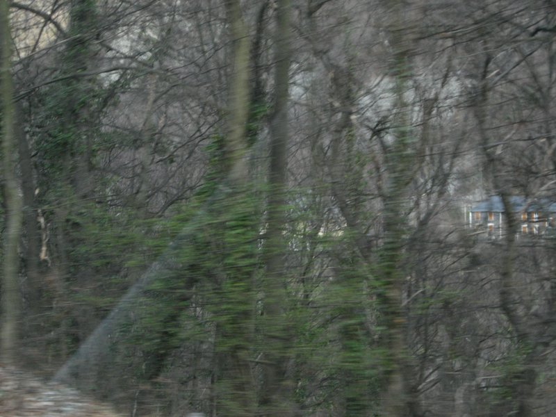 IMG_5402.JPG