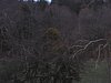 IMG_5136.JPG