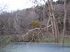 IMG_5139.JPG