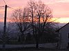 IMG_5141.JPG