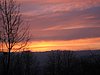 IMG_5147.JPG
