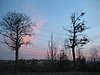 IMG_5148.JPG