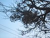 IMG_5149.JPG