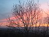 IMG_5150.JPG