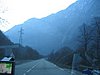 IMG_5156.JPG