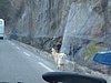IMG_5161.JPG