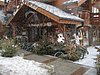 IMG_5186.JPG