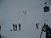 IMG_5198.JPG