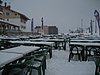 IMG_5203.JPG