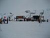 IMG_5217.JPG