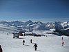 IMG_5242.JPG