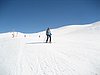 IMG_5249.JPG