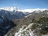 IMG_5277.JPG