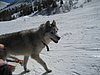 IMG_5288.JPG