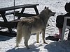IMG_5289.JPG