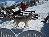 IMG_5293.JPG