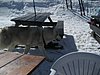 IMG_5294.JPG