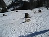 IMG_5298.JPG