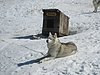 IMG_5299.JPG