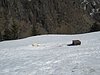 IMG_5300.JPG