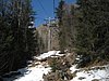 IMG_5306.JPG