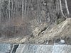 IMG_5395.JPG