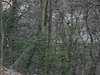 IMG_5402.JPG