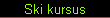 Ski kursus