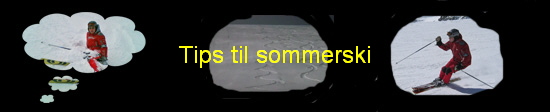 Tips til sommerski