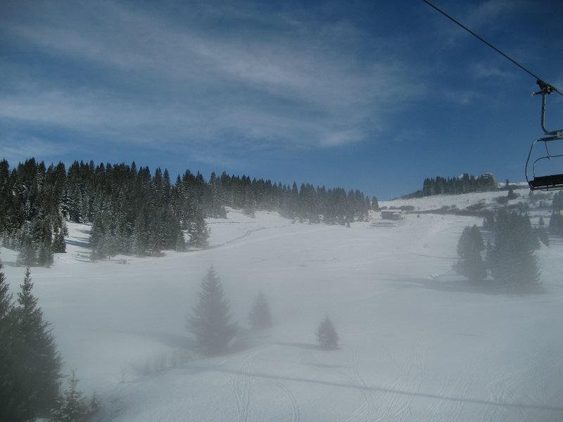 IMG_0675.jpg