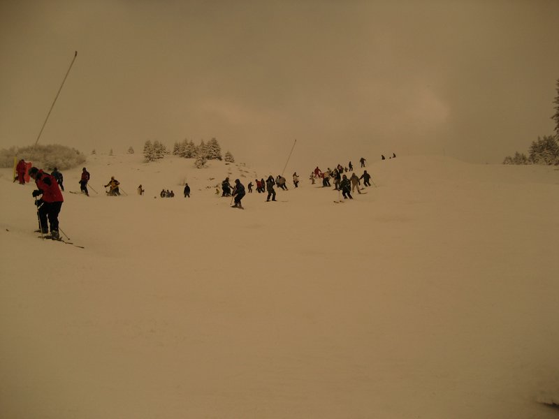 IMG_0708.jpg